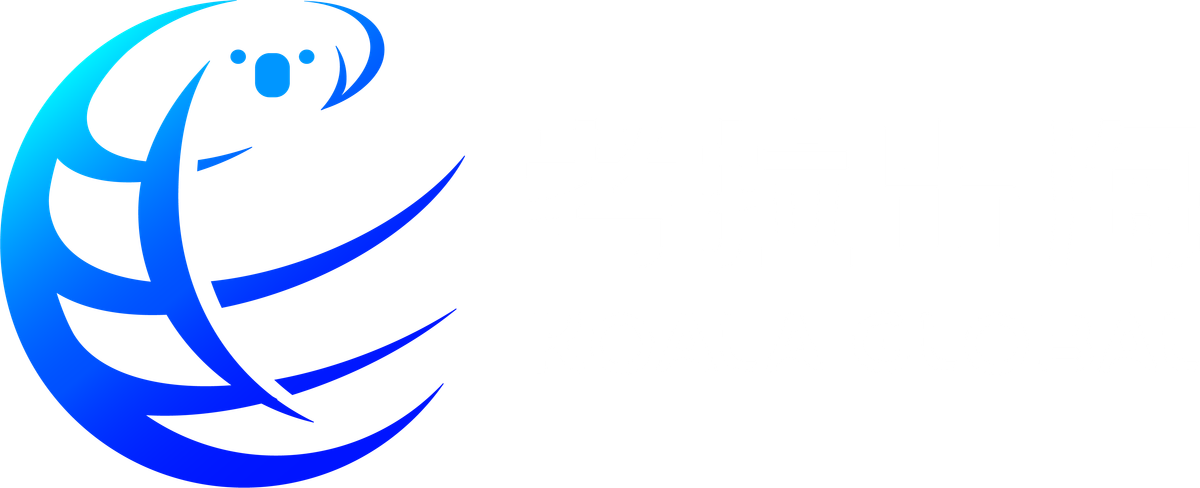 Koala Global 考拉出海